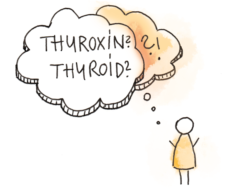 L-Thyroxin in der Schilddrüsentherapie